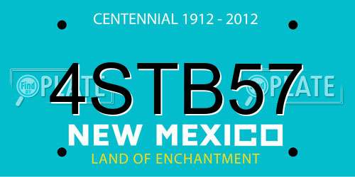 4STB57 New Mexico License Plate