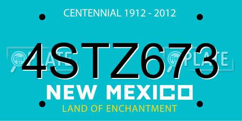 4STZ673 New Mexico License Plate