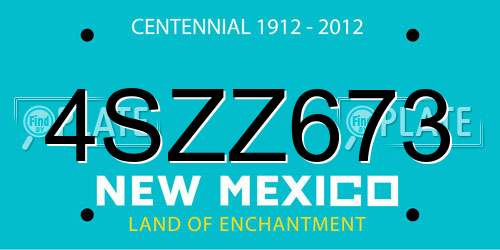 4SZZ673 New Mexico License Plate