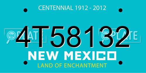 4T58132 New Mexico License Plate