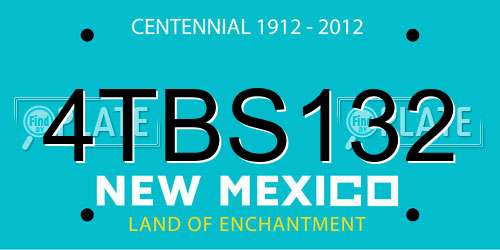 4TBS132 New Mexico License Plate