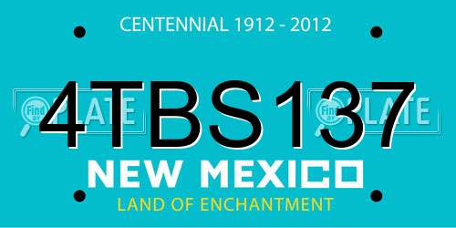 4TBS137 New Mexico License Plate
