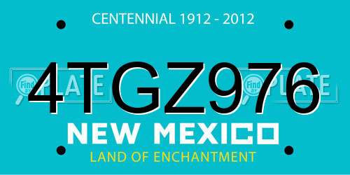 4TGZ976 New Mexico License Plate