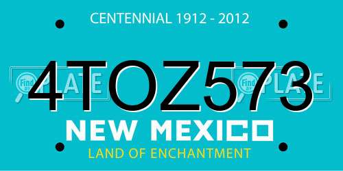 4TOZ573 New Mexico License Plate