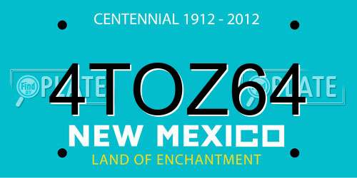 4TOZ64 New Mexico License Plate