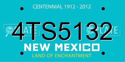 4TS5132 New Mexico License Plate