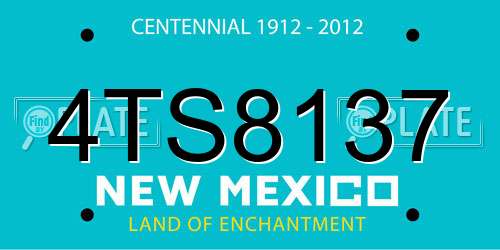 4TS8137 New Mexico License Plate