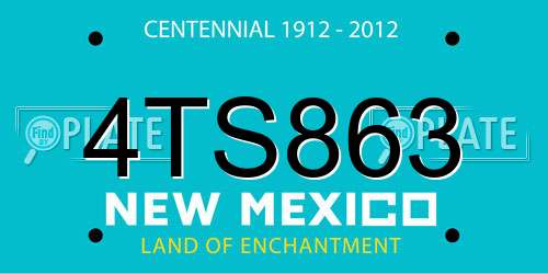 4TS863 New Mexico License Plate