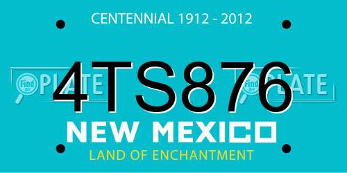 4TS876 New Mexico License Plate