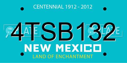 4TSB132 New Mexico License Plate