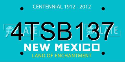 4TSB137 New Mexico License Plate