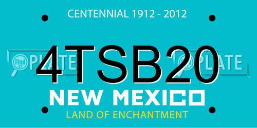 4TSB20 New Mexico License Plate