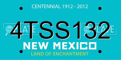 4TSS132 New Mexico License Plate
