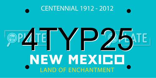 4TYP25 New Mexico License Plate