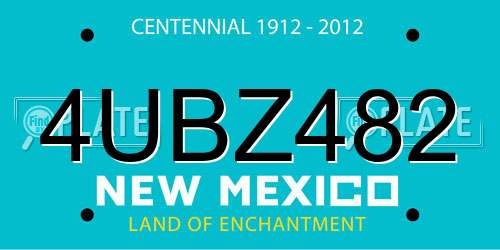 4UBZ482 New Mexico License Plate