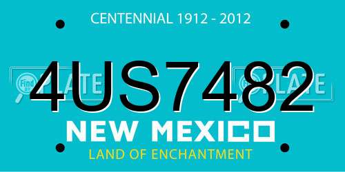 4US7482 New Mexico License Plate