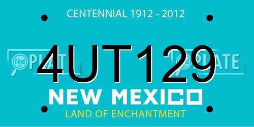 4UT129 New Mexico License Plate