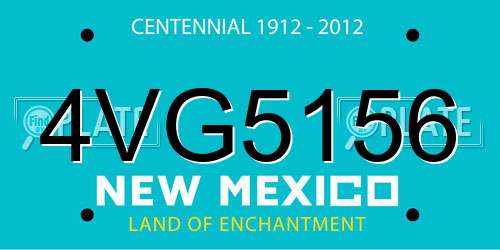 4VG5156 New Mexico License Plate