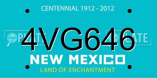 4VG646 New Mexico License Plate