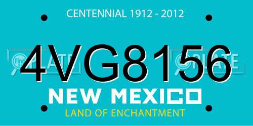 4VG8156 New Mexico License Plate