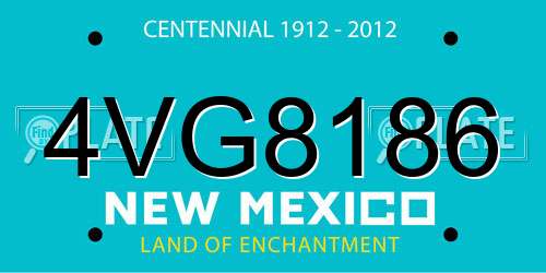 4VG8186 New Mexico License Plate