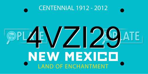 4VZI29 New Mexico License Plate