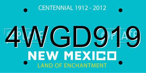 4WGD919 New Mexico License Plate