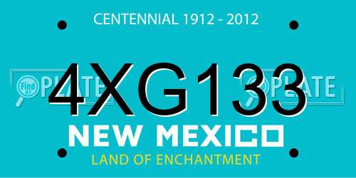 4XG133 New Mexico License Plate