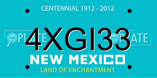 4XGI33 New Mexico License Plate