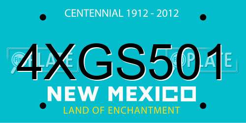 4XGS501 New Mexico License Plate