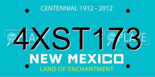 4XST173 New Mexico License Plate