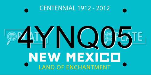 4YNQ05 New Mexico License Plate