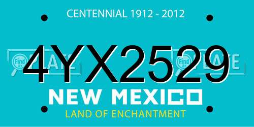 4YX2529 New Mexico License Plate