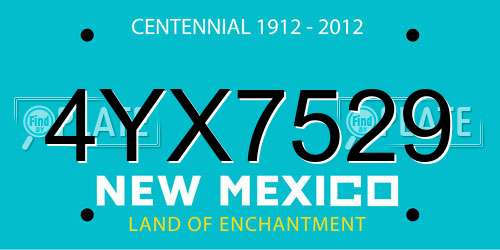 4YX7529 New Mexico License Plate