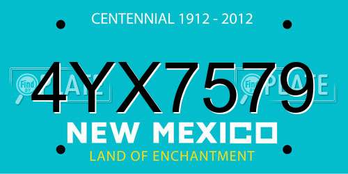 4YX7579 New Mexico License Plate