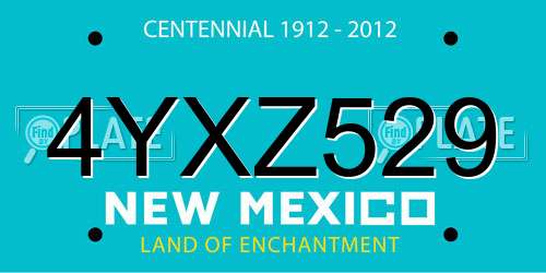 4YXZ529 New Mexico License Plate