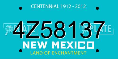 4Z58137 New Mexico License Plate
