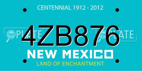 4ZB876 New Mexico License Plate