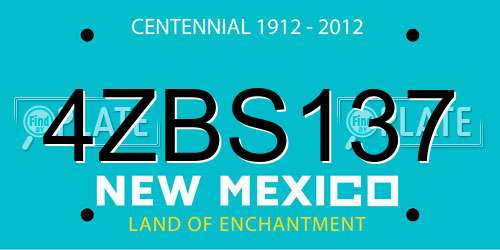 4ZBS137 New Mexico License Plate