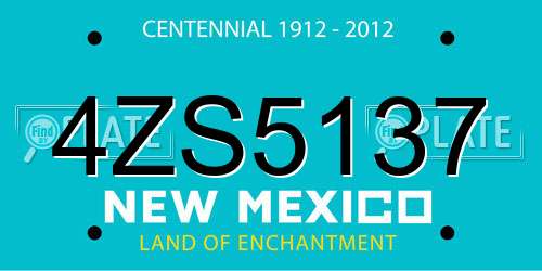 4ZS5137 New Mexico License Plate