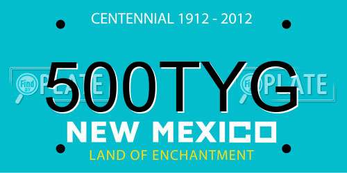 500TYG New Mexico License Plate