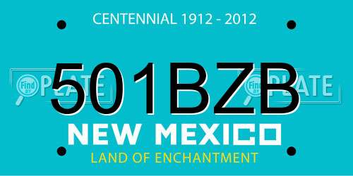 501BZB New Mexico License Plate