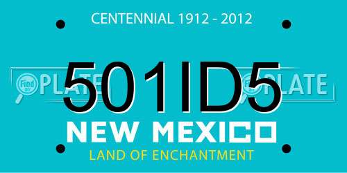 501ID5 New Mexico License Plate