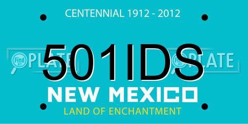 501IDS New Mexico License Plate