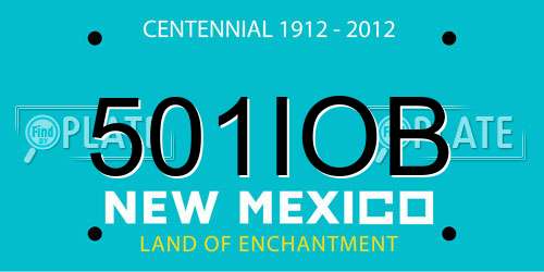 501IOB New Mexico License Plate