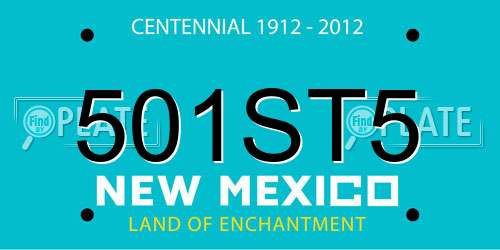 501ST5 New Mexico License Plate