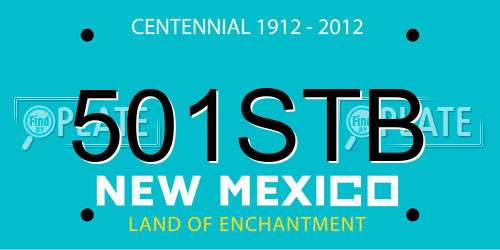501STB New Mexico License Plate