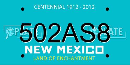 502AS8 New Mexico License Plate