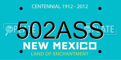 502ASS New Mexico License Plate