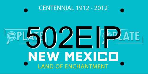 502EIP New Mexico License Plate